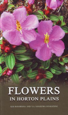 Flowers in Horton Plains