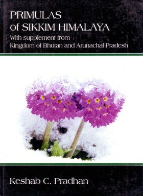 Primulas of Sikkim Himalaya