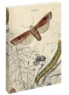 Moth Journal