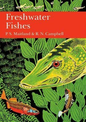 Freshwater Fishes