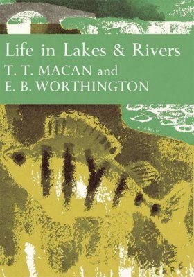 Life in Lakes & Rivers