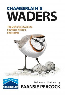 Chamberlain's Waders