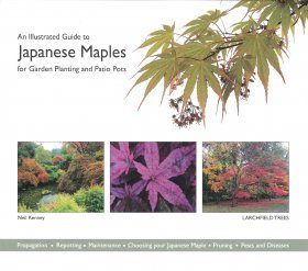 An Illustrated Guide to Japanese Maples for Garden Planting and Patio Pots