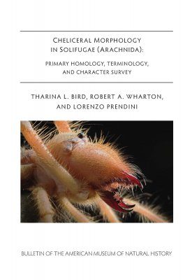 Cheliceral Morphology in Solifugae Arachnida