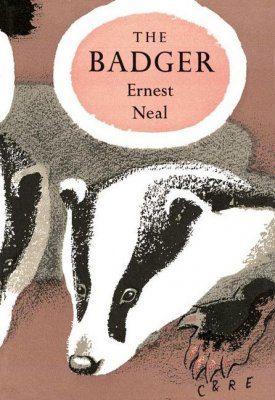 The Badger