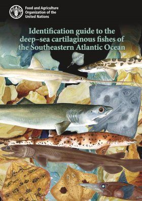Identification Guide to the Deep-Sea Cartilaginous Fishes of the Southeastern Atlantic Ocean