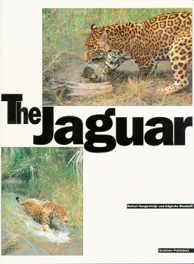 The Jaguar