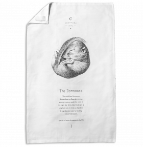 Hazel Dormouse Tea Towel