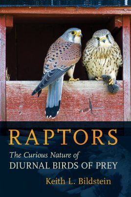 Raptors: The Curious Nature of Diurnal Birds of Prey