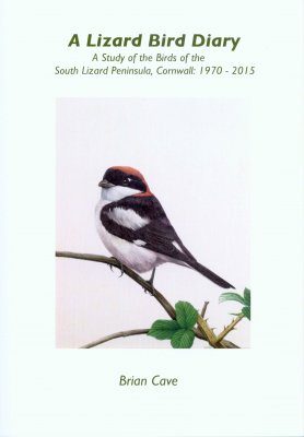 A Lizard Bird Diary