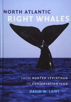 North Atlantic Right Whales