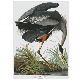 Blue Heron Tea Towel