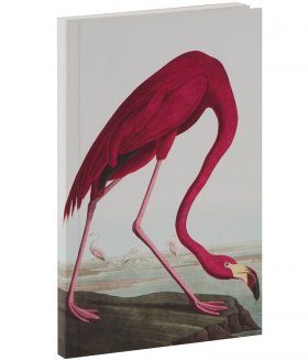 Flamingo Notebook