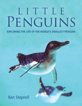 Little Penguins