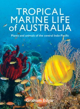 Tropical Marine Wildlife of Australia