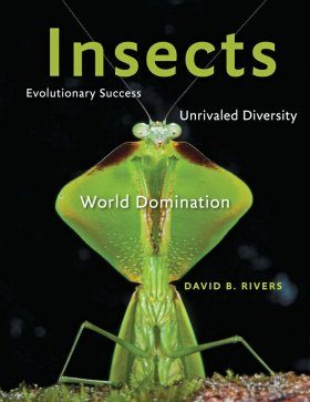 Insects: Evolutionary Success, Unrivaled Diversity, and World Domination