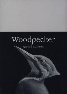 Woodpecker