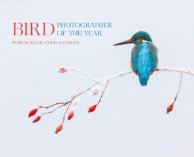 Bird Photographer of the Year 2017