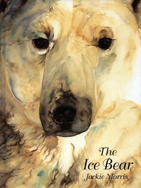 The Ice Bear