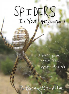 Spiders in Your Neighborhood