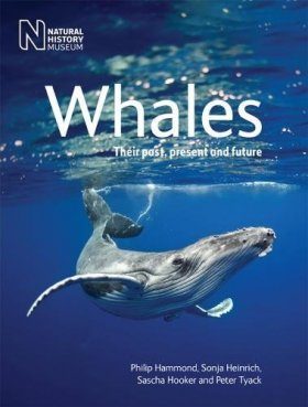Whales: Their Past, Present and Future