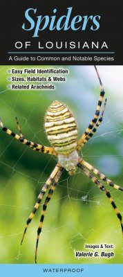 Spiders of Louisiana