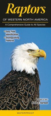 Raptors of Western North America