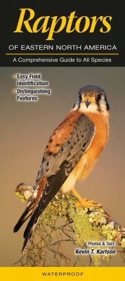 Raptors of Eastern North America