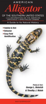 American Alligator of the Southern United States (Including Information on the American Crocodile and Spectacled Caiman)