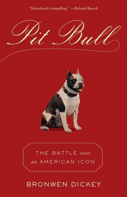 Pit Bull