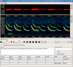 Kaleidoscope Neotropics Analysis Software