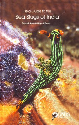 Field Guide to the Sea Slugs of India