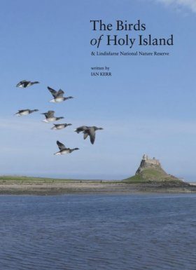 The Birds of Holy Island & Lindisfarne National Nature Reserve