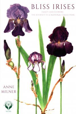 Bliss Irises