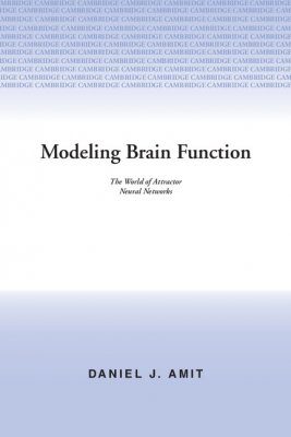 Modelling Brain Function