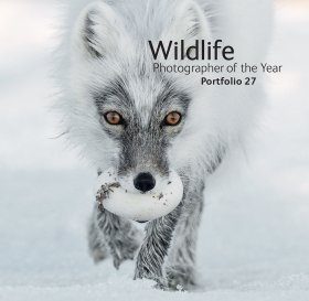 Wildlife Photographer of the Year, Portfolio 27