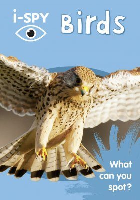 i-SPY Birds