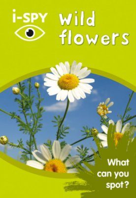 i-Spy Wild Flowers