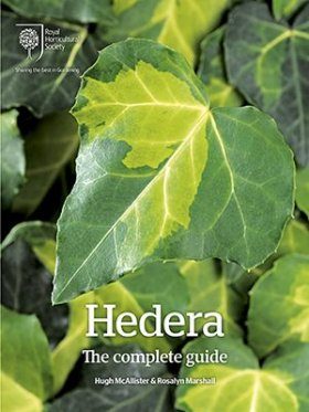 Hedera: The Complete Guide