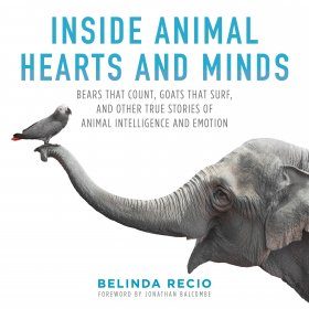 Inside Animal Hearts and Minds