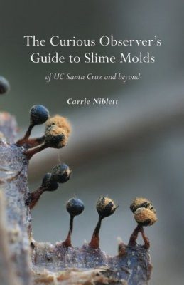 The Curious Observer's Guide to Slime Molds of UC Santa Cruz and Beyond