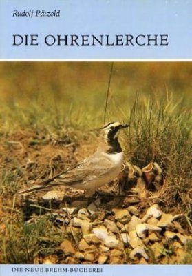 Die Ohrenlerche (Shorelark)