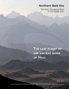 The Last Flight of the Ancient Guide of Hajj
