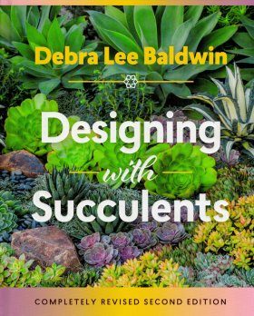 Designing with Succulents