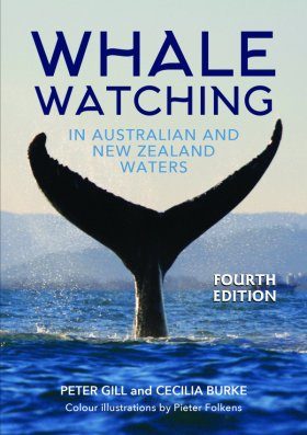 Whale Watching in Australian and New Zealand Waters