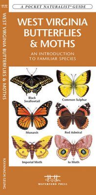 West Virginia Butterflies & Moths