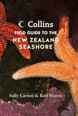 Collins Field Guide to the New Zealand Seashore