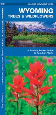 Wyoming Trees & Wildflowers