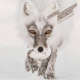 Wildlife Photographer of the Year 2018 Wall Calendar