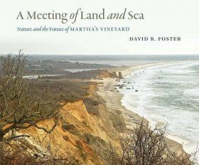 A Meeting of Land and Sea
